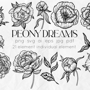 Pfingstrosen SVG - Pfingstrose Line Art SVG - Blumen SVG - Hochzeit Blumen Clipart - Botanik svg - Blumen Linie Kunst - Rosen svg - Blumen Clipart