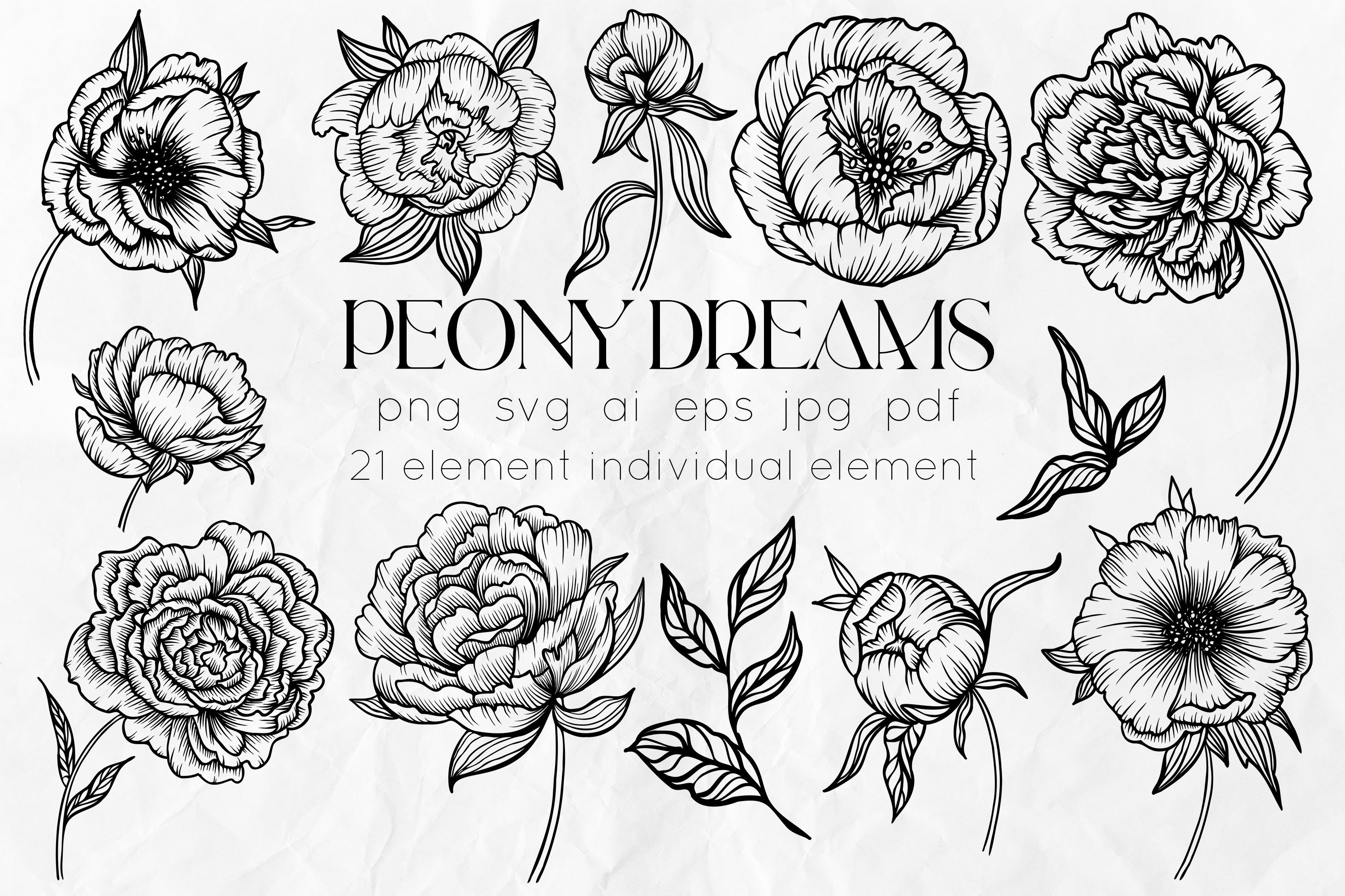 Peonies SVG - Peony Line Art SVG - Floral SVG - Wedding flowers clipart - Botany svg - Flowers line art - Roses svg - Floral clipart