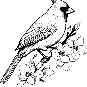 Puede incluir: Ilustraci&oacute;n en blanco y negro de un cardenal posado en una rama florecida. El ave est&aacute; detallada con plumas visibles y una cresta prominente. Las flores est&aacute;n en plena floraci&oacute;n, agregando un toque delicado al dise&ntilde;o.