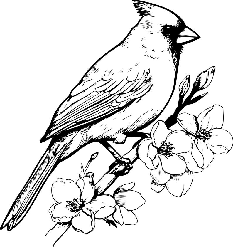 Puede incluir: Ilustraci&oacute;n en blanco y negro de un cardenal posado en una rama florecida. El ave est&aacute; detallada con plumas visibles y una cresta prominente. Las flores est&aacute;n en plena floraci&oacute;n, agregando un toque delicado al dise&ntilde;o.