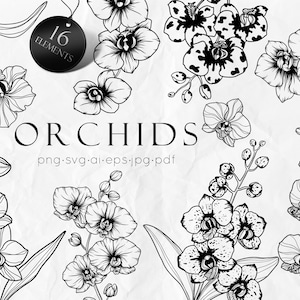 Może przedstawiać: Zestaw 16 czarno-białych ilustracji linii orchidei. Ilustracje są w różnych stylach, w tym realistycznych i stylizowanych. Tekst "ORCHIDS" i "png.svg.ai.eps.jpg.pdf" jest zawarty w obrazie.