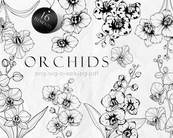 Flowers SVG, Hand drawn Orchid SVG, Orchid flowers PNG, Wildflowers svg, Doodle Flowers, Flowers Clip Art,  Line Drawing svg