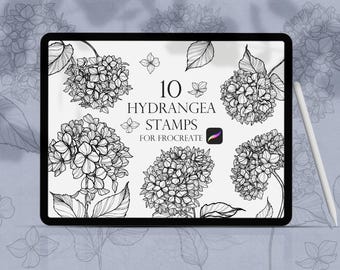 Hydrangea Procreate Stamps, Daisy brushes procreate, Flower Stamps, Procreate Brushset, Line art floral Procreate, Botanical Stamps,