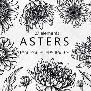 Flores de arte lineal SVG - Aster SVG - Flores de contorno - Asters flores svg - Floral SVG - Clipart de flores de boda, Botánica svg, Arte lineal de flores