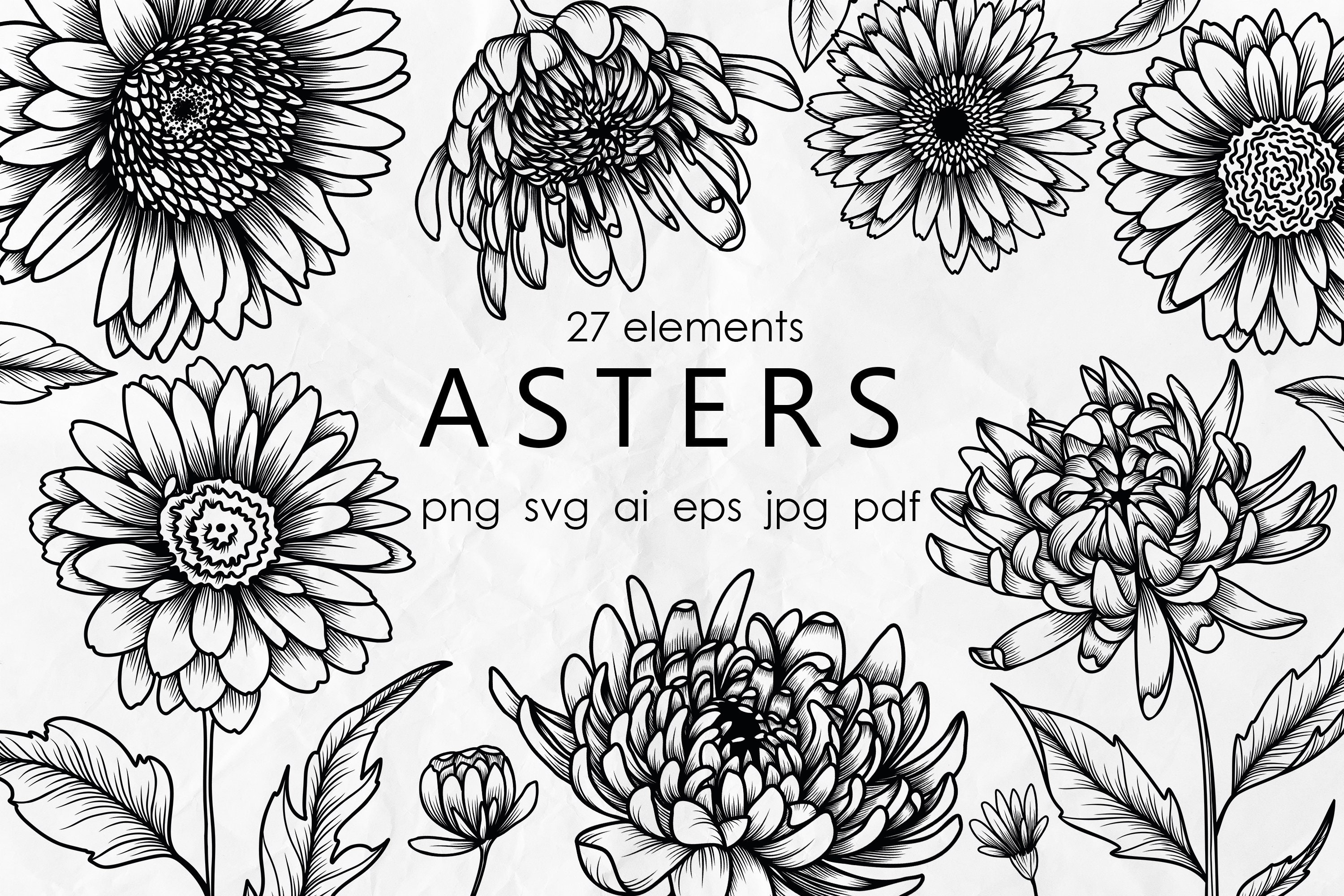 Line art flowers SVG - Aster SVG - Outline flowers - Asters flowers svg - Floral SVG - Wedding flowers clipart, Botany svg, Flowers line art