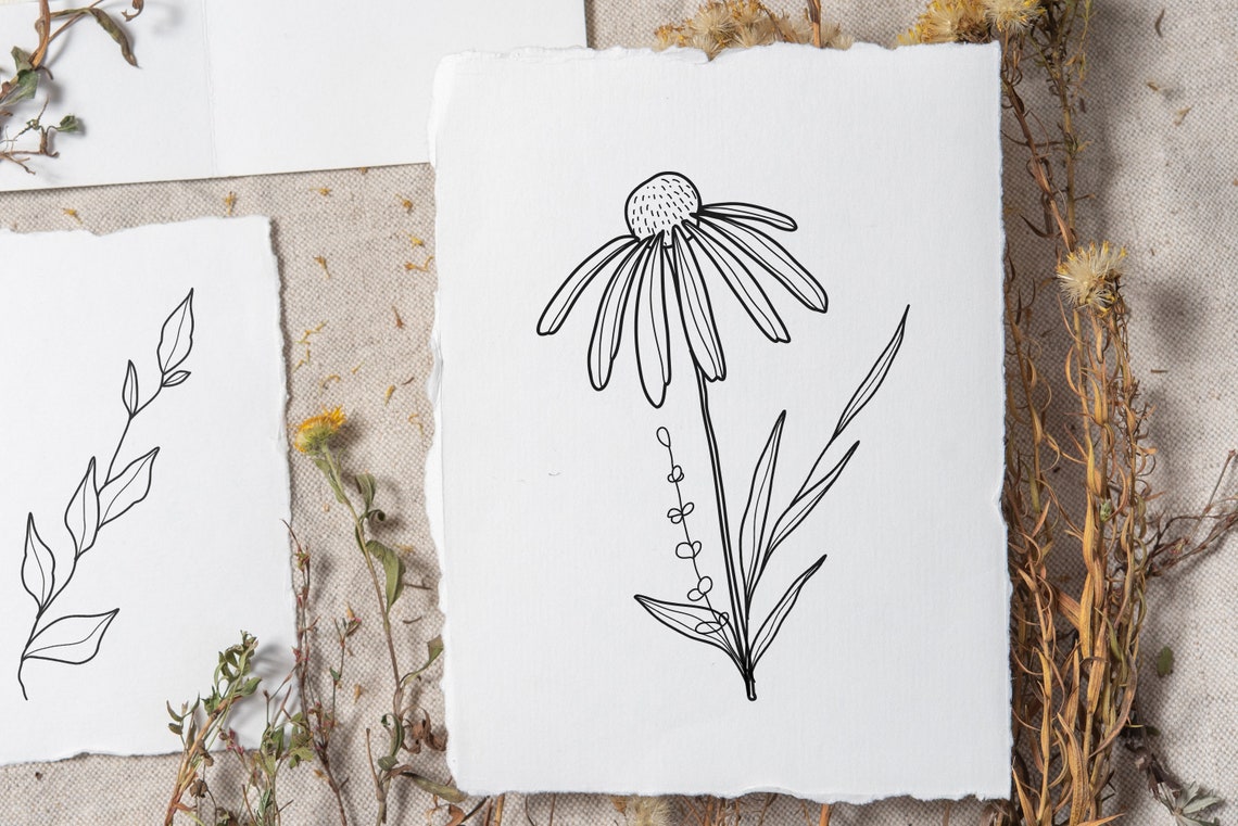 Wildflowers Procreate Stamps, Wildflowers Brushes Procreate, Flower ...