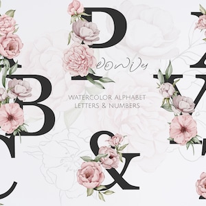 Blumen Alphabet Aquarell, Buchstaben und Zahlen, Pfingstrosen Aquarell, Alphabet für Hochzeit, Blumengesteck Aquarell, Blumen Buchstaben,