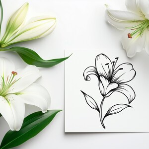 Lilies Procreate Stamps, Lily Brushes Procreate, Flower Stamps ...