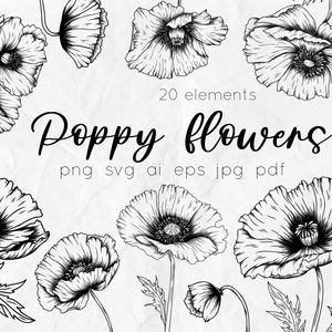 Mohnblume svg, Blumen svg, Blumen Linie Kunst svg, Mohnblumen Linie Kunst svg Clipart, lineare Blumen Illustration, Anemonen svg
