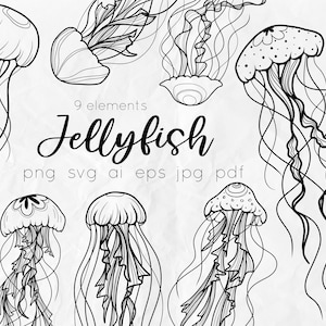 Jellyfishes SVG - Medusa SVG - Sea life SVG - Jellyfish clipart - Hand drawn svg - Medusa clipart- Line art svg - silhouette svg- svg design