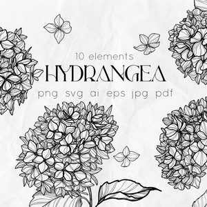 Hortensie SVG - Blumen Linie Kunst SVG - Floral SVG - Hochzeit Blumen Clipart - Botanik svg - Blumen Linie Kunst - Hortensie Kunst - Floral Clipart