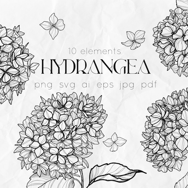 Hydrangea SVG - Flowers Line Art SVG - Floral SVG - Wedding flowers clipart - Botany svg - Flowers line art - Hydrangea art - Floral clipart