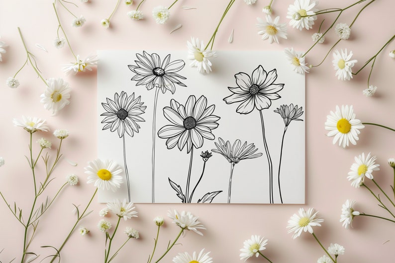 May include: A white card with black line drawings of various flowers, including daisies and cosmos. The card is surrounded by real white daisies on a pink background.