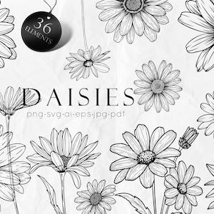 Gänseblümchen Linie Kunst SVG, Umriss Sonnenblumen SVG, Blumen svg, Gänseblümchen Clipart, Sonnenblume PNG, Blumen Clipart, lineare Blumen, SVG-Dateien,