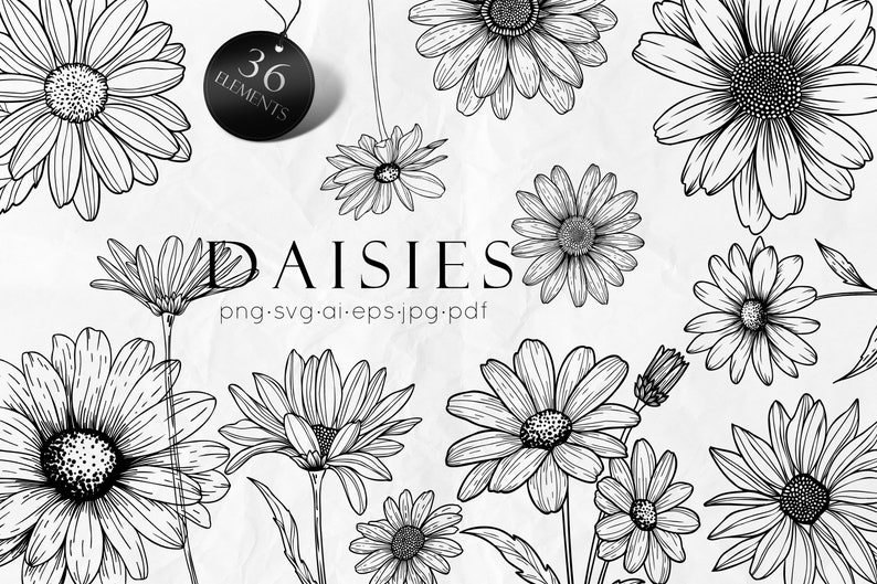 May include: A set of 36 black and white line drawings of daisies. The daisies are drawn in a realistic style and include various sizes and angles. The text "DAISIES" is written in a decorative font with the words "png-svg-ai-eps.jpg.pdf" below it.