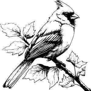 Puede incluir: Ilustraci&oacute;n en blanco y negro de un cardenal posado en una rama con hojas. El ave tiene una cresta prominente y patrones de plumas detallados. Las hojas tambi&eacute;n est&aacute;n dibujadas con precisi&oacute;n.
