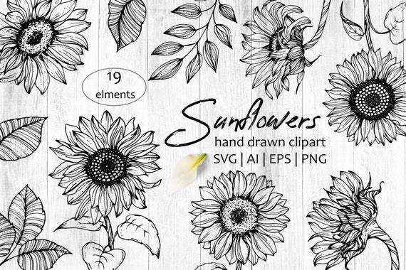 Download Sunflowers Svg Png Sunflowers Clipart Printable Flowers Etsy