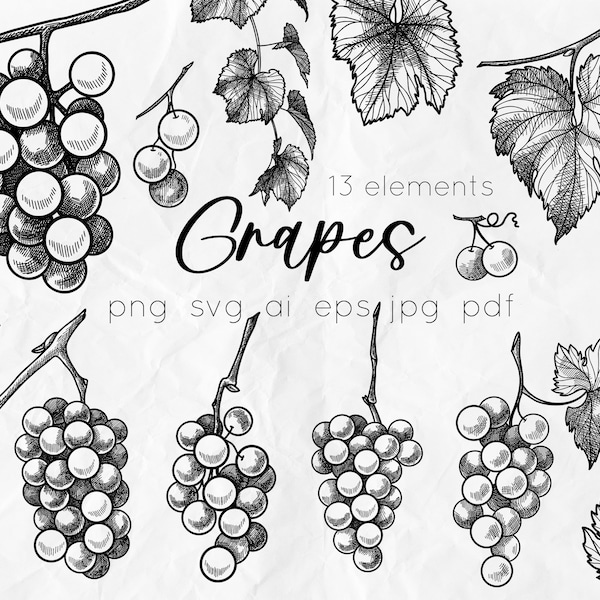 Grapes SVG, Berries svg, Grapes line art, Line art illustration, Grapes clipart, Grapes graphics artwork, food SVG, Linear berries