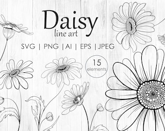 Daisy SVG, PNG Daisy Clipart, Printable flowers, Line art daisy, Flowers svg, floral png, Botanical line art, DIY, vector flowers, Eps files