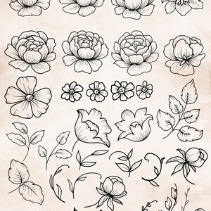 K&ouml;nnte beinhalten: Eine Sammlung von Vintage-Blumenillustrationen in Schwarzwei&szlig;. Die Illustrationen umfassen verschiedene Arten von Blumen, Bl&auml;ttern und Stielen. Der Text "Vintage Flowers" befindet sich oben im Bild.