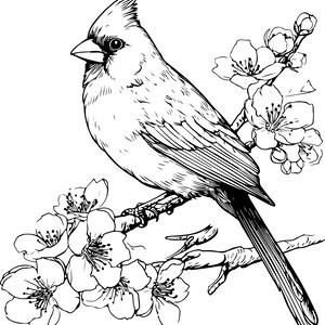 Puede incluir: Ilustraci&oacute;n en blanco y negro de un cardenal posado en una rama florecida. El ave tiene una cresta prominente y mira hacia la izquierda. La rama presenta flores abiertas y capullos.