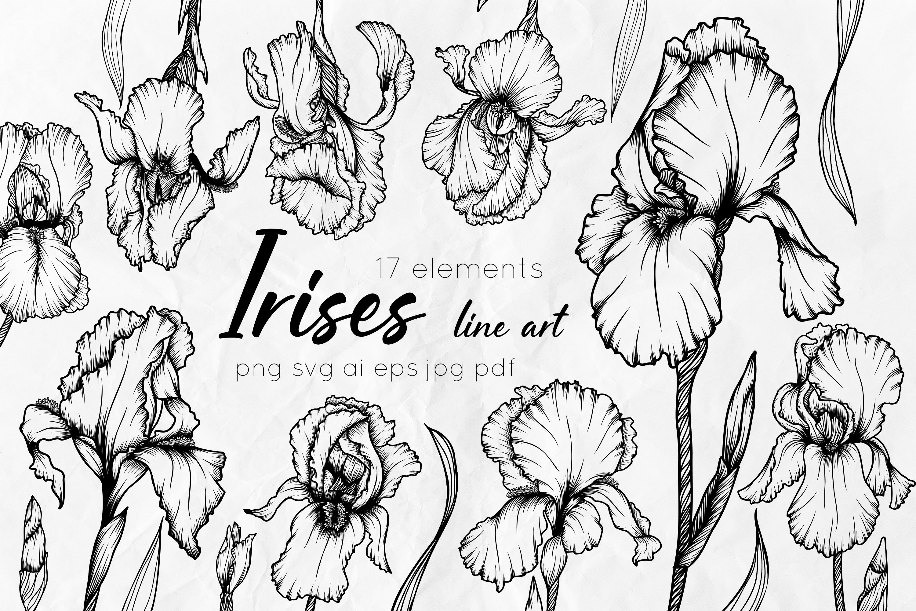 Line Art Flowers SVG Iris SVG Outline Flowers Irises Etsy