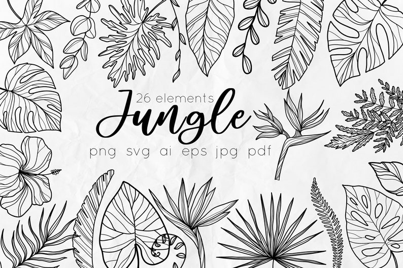 Puede incluir: Un conjunto de 26 dibujos en blanco y negro de plantas y flores tropicales. Las ilustraciones incluyen hojas de palmera, hojas de monstera, flores de hibisco y helechos. El texto "26 elementos Jungle png svg ai eps jpg pdf" est&aacute; escrito debajo de las ilustraciones.