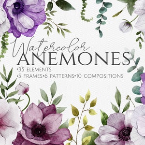 Anémones aquarelle, clipart floral png, arrangements floraux, éléments individuels, aquarelle roses clipart, mariage bricolage, boho fleurs,