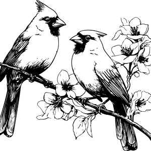 Puede incluir: Ilustraci&oacute;n en blanco y negro de dos cardenales posados en una rama floreciente. Las aves est&aacute;n representadas de perfil, con detalles en sus plumas y picos afilados. Las flores est&aacute;n en plena floraci&oacute;n.