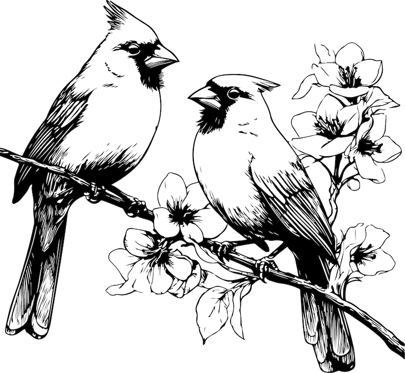 Puede incluir: Ilustraci&oacute;n en blanco y negro de dos cardenales posados en una rama floreciente. Las aves est&aacute;n representadas de perfil, con detalles en sus plumas y picos afilados. Las flores est&aacute;n en plena floraci&oacute;n.