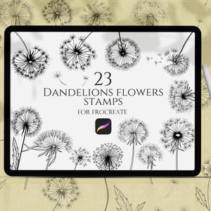 May include: A digital illustration of 23 dandelion flower stamps for Procreate. The stamps are black and white and feature various stages of the dandelion flower, from closed buds to fully bloomed flowers with seeds.