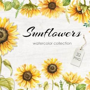 Tournesols Aquarelle Collection - Tournesols PNG - Fleurs aquarelles - Tournesols Clipart - Fleurs jaunes- Bouquets - Mariage DIY