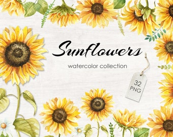 Sonnenblumen Aquarell Sammlung - Sonnenblumen PNG - Aquarell Blumen - Sonnenblumen Clipart - Gelbe Blumen - Blumensträuße - Hochzeit DIY