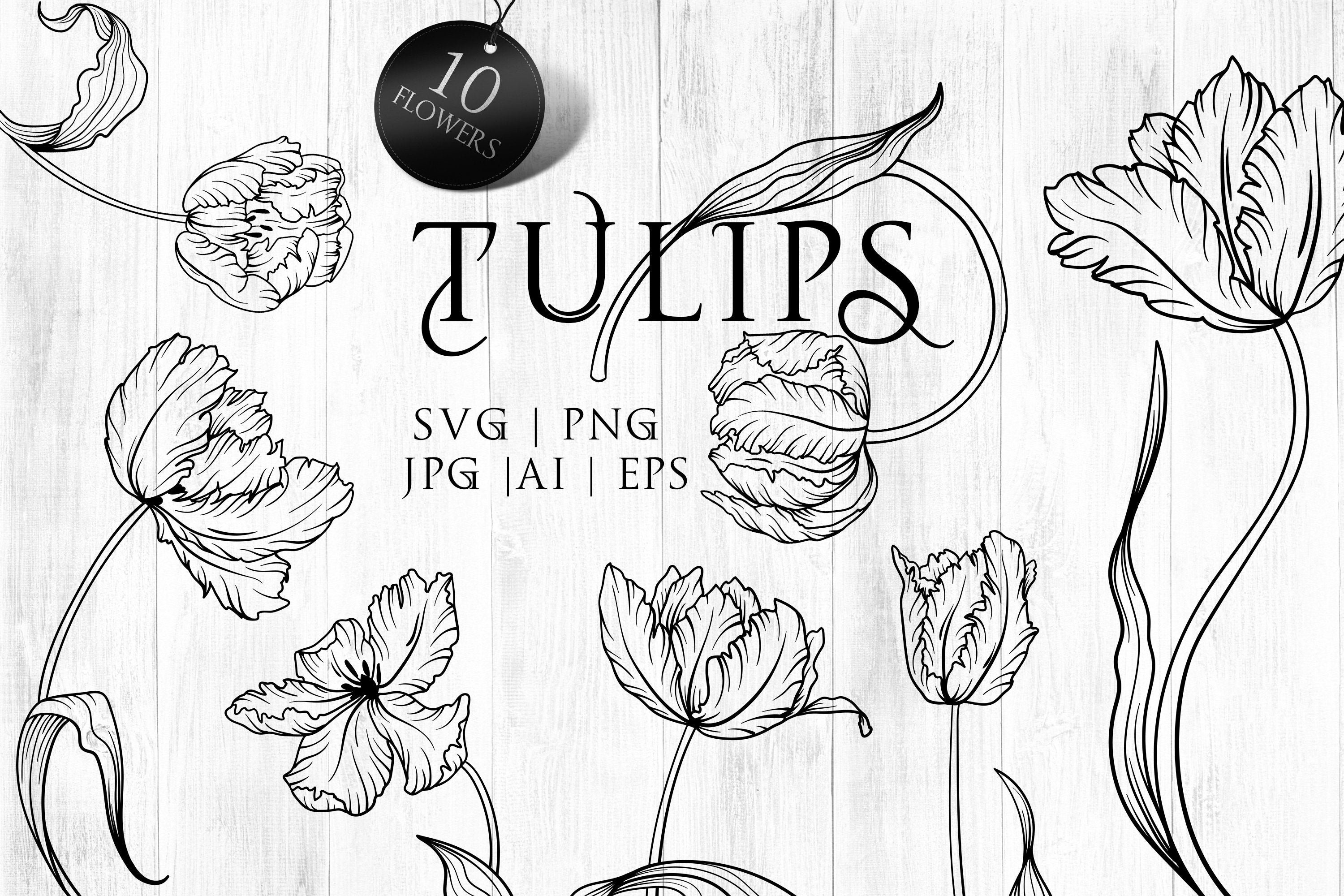 Flowers SVG, Hand Drawn Tulips SVG, Tulip Flowers PNG, Printable Flowers,  Doodle Flowers, Flowers Clip Art, Line Drawing Svg, Diy - Etsy, image size:3000x2000