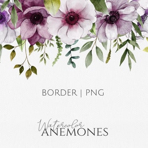 Bordure avec fleurs anémones png, aquarelle bordure florale png, fond floral, composition aquarelle roses, bouquet de fleurs violettes