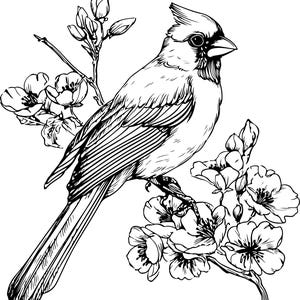 Puede incluir: Ilustraci&oacute;n en blanco y negro de un cardenal posado en una rama floreciente. El ave presenta detalles de plumas y una cresta. Las flores est&aacute;n en plena floraci&oacute;n, a&ntilde;adiendo un toque delicado al dise&ntilde;o.