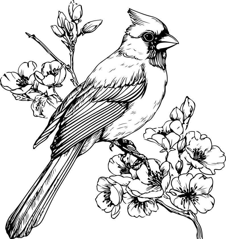Puede incluir: Ilustraci&oacute;n en blanco y negro de un cardenal posado en una rama floreciente. El ave presenta detalles de plumas y una cresta. Las flores est&aacute;n en plena floraci&oacute;n, a&ntilde;adiendo un toque delicado al dise&ntilde;o.
