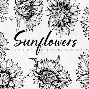 Sonnenblumen Line Art SVG, Outline Sonnenblumen SVG, Floral svg, Sunflowers Clipart, Sunflower PNG, florale Clipart, lineare Blumen, svg Dateien,