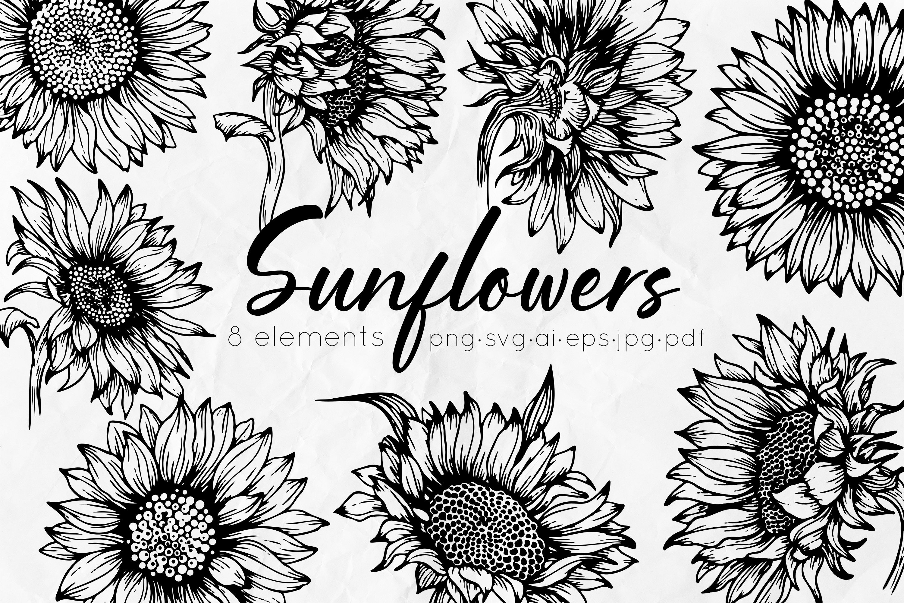 Sunflower Outline Clipart Virginia