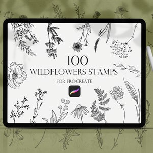 Wildflowers Procreate Stamps, Wildflowers brushes procreate, Flower Stamps, Procreate Brushset, Line art floral Procreate, Botanical Stamps,