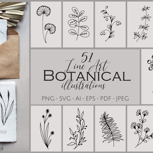 May include: A set of 51 black and white line art botanical illustrations. The illustrations include various flowers, leaves, and branches. The text "51 Line Art Botanical illustrations" and "PNG SVG AI EPS PDF JPEG" is included in the image.
