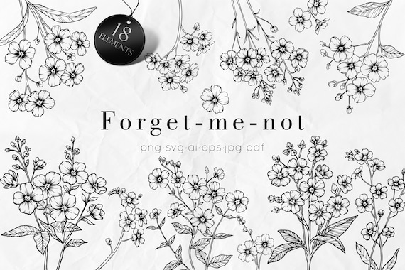 Forget Me Not Flower Clip Art Black And White