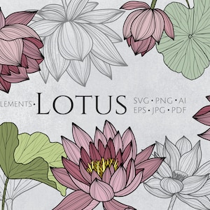 Lotus in formato SVG, Giglio in formato SVG, immagini in formato SVG di fiori, illustrazione vettoriale di fiori di loto, linea arte floreale in formato SVG, clipart di ninfee, clipart botanica