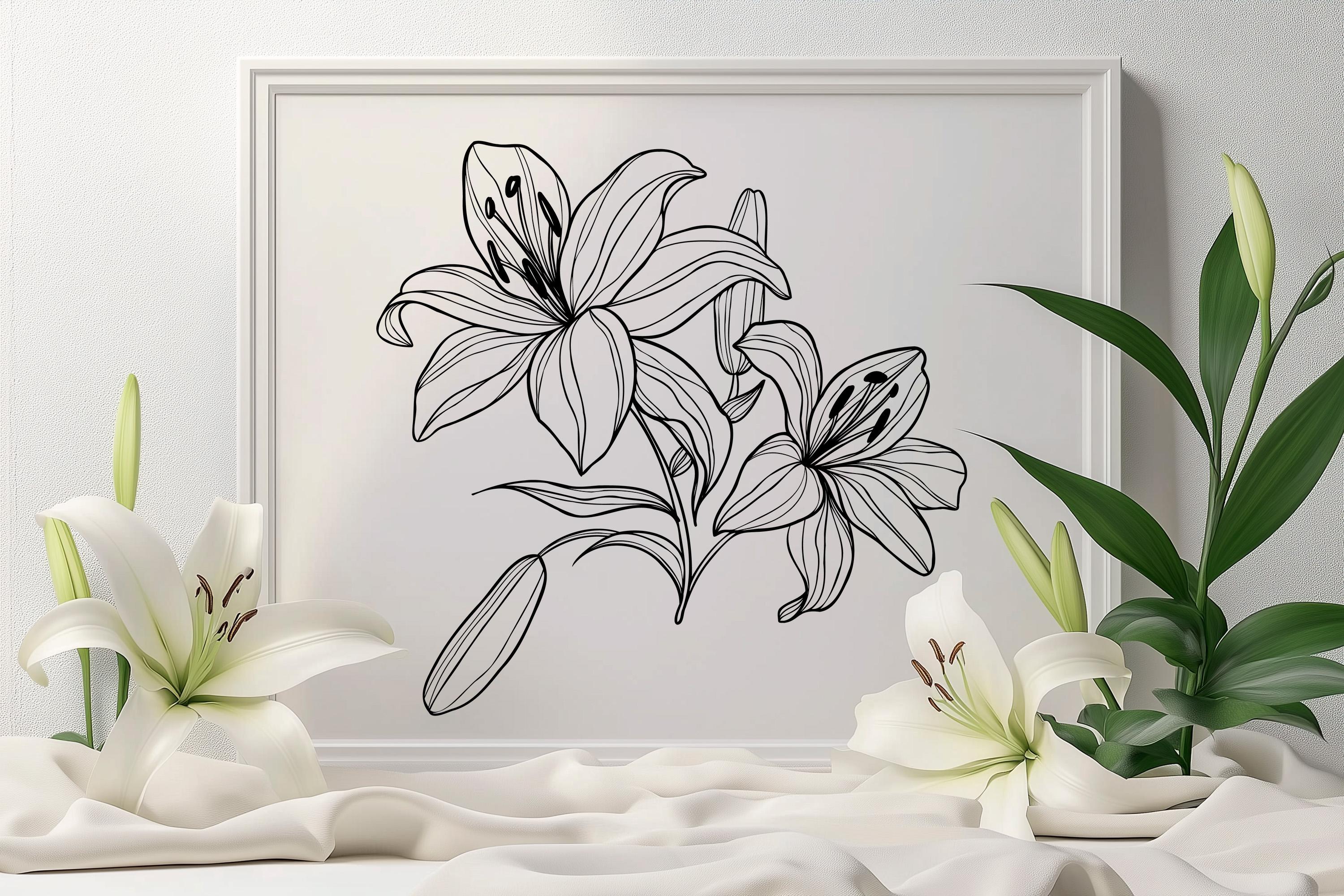 Lilies Procreate Stamps, Lily Brushes Procreate, Flower Stamps ...