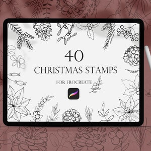 Weihnachts-Procreate-Stempel, Weihnachtsbürsten procreate, Blumenstempel, Procreate Brushset, Line Art Floral Procreate, Botanische Stempel,