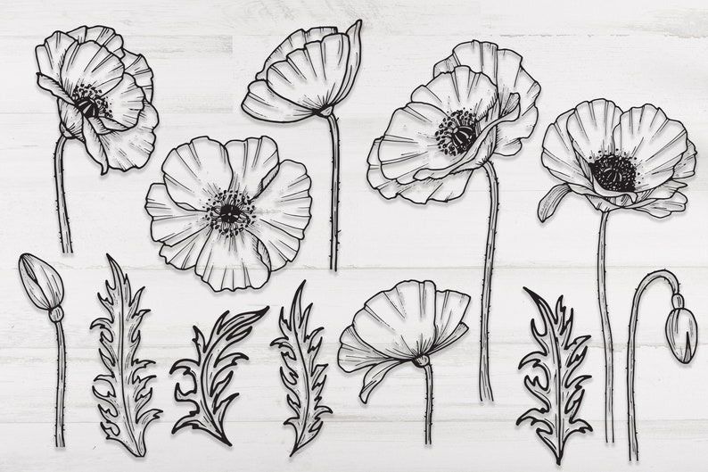 Doodle Flowers Printable Flowers Flowers Clip Art diy Hand drawn Poppy flowers PNG Poppies SVG Line Drawing svg Flowers SVG