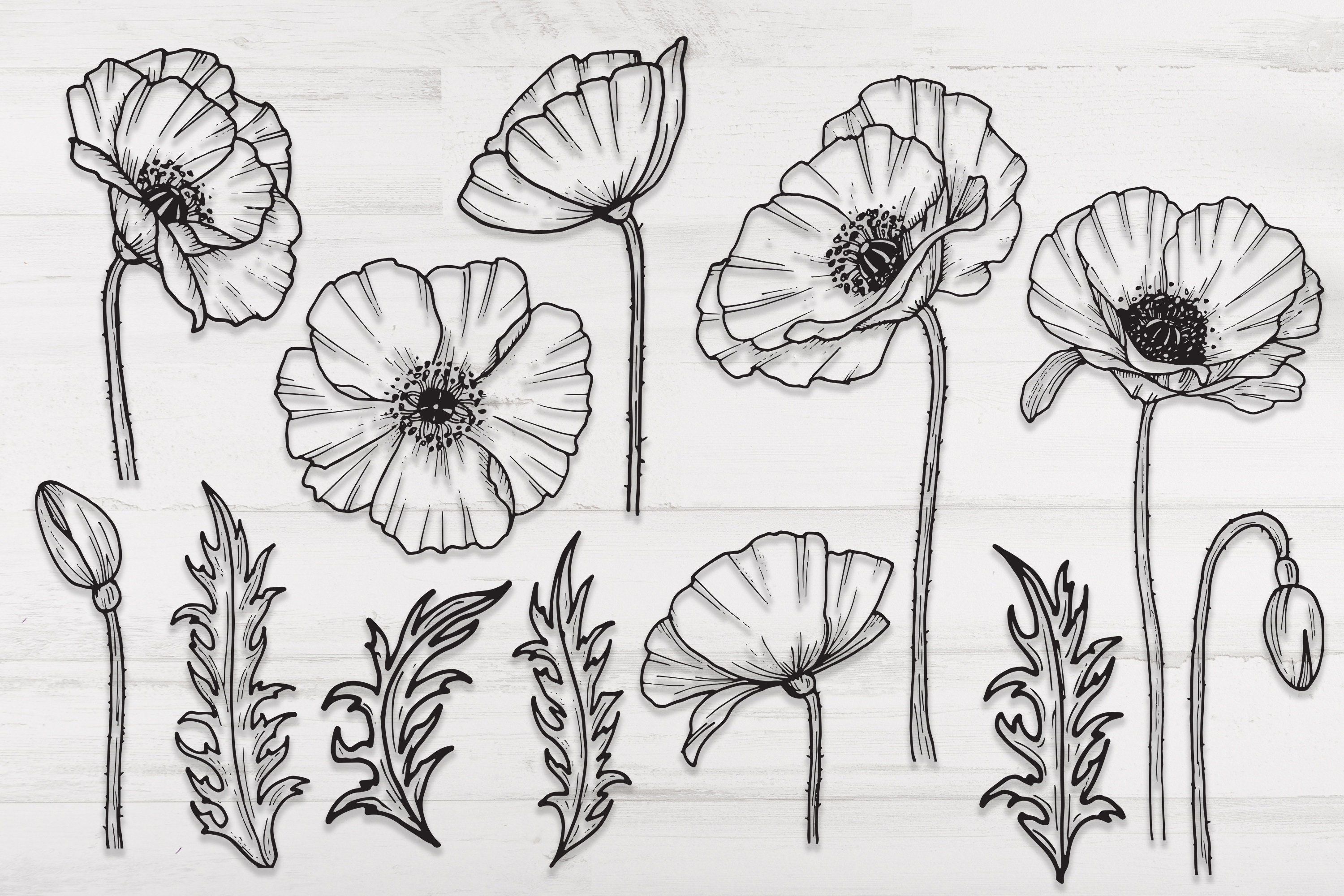 Flowers SVG Hand Drawn Poppy Flowers PNG Printable Flowers - Etsy