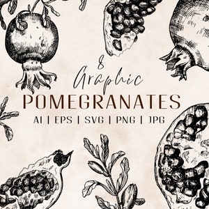 Pomegranate SVG - Botanical clipart - Line art SVG - Pomegranates PNG - hand drawn illustration - Leaves svg - Sublimation png - fruits png