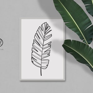 Puede incluir: Un dibujo en blanco y negro de una sola hoja tropical en un marco blanco. El marco est&aacute; en una pared gris con una planta verde en el fondo.