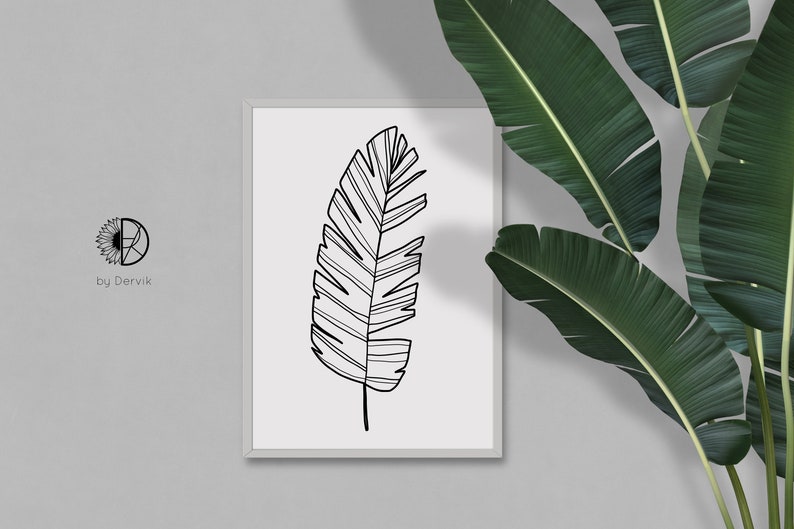 Puede incluir: Un dibujo en blanco y negro de una sola hoja tropical en un marco blanco. El marco est&aacute; en una pared gris con una planta verde en el fondo.